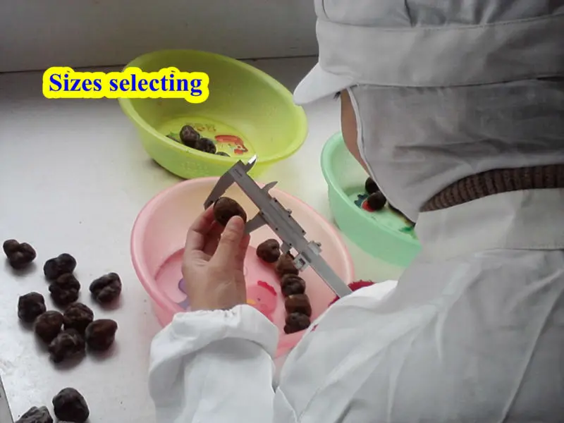 measuring by calipers.jpg