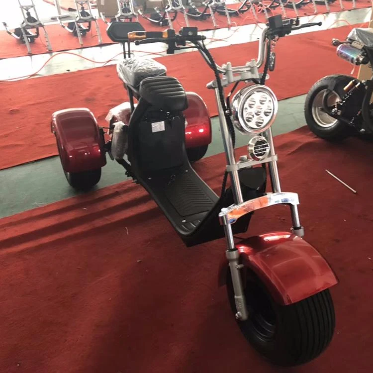 

3 wheels newest harley citycoco scooter with best motor best battery