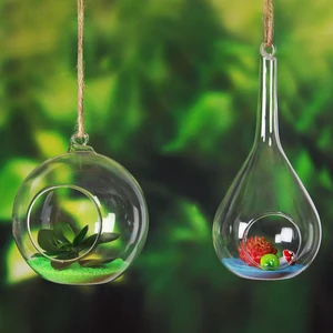 Image of Cheap wholesale borosilicate glass hanging terrarium glass vase for plants and decoration accessories