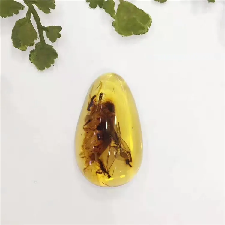 

Mexico natural flying ant oval yellow amber loose stone ring necklace pendant dual use