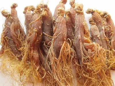 
High quality wholesale Organic red ginseng root 