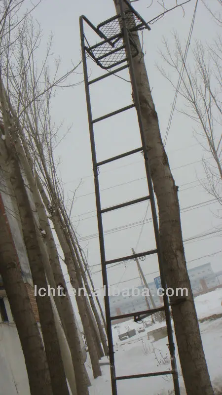 DSC08383