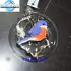 Christmas clear glass flat ball ornament w/ a colorful bird inside from Shenzhen supplier