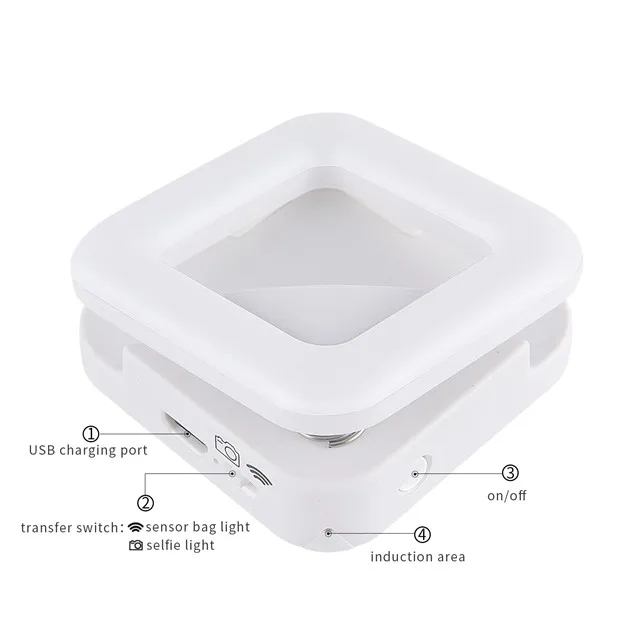 PURSE LIGHT (11).jpg