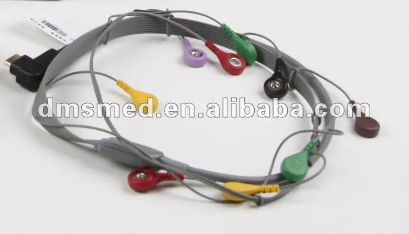 
DMS Holter ECG 12 Channel System for real time recording 