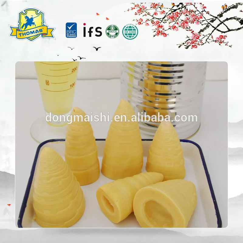 Canned Bamboo Shoot Fresh Winter Bamboo Shoots In Tin Buy Fresh