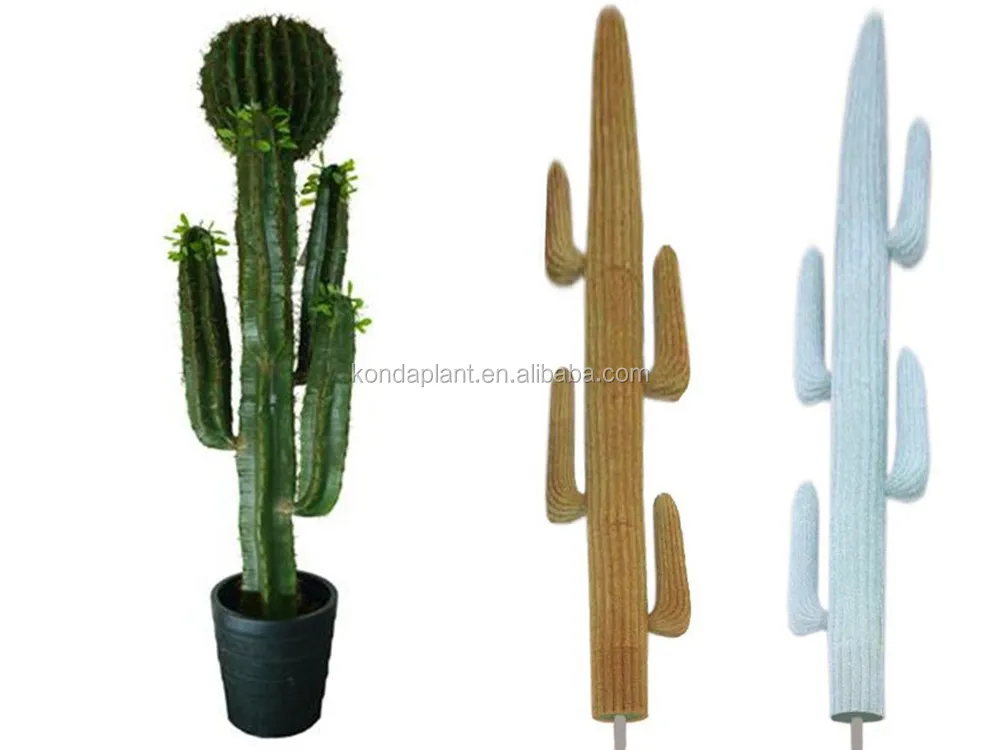 Decoration Bonsai Cactus Plants Wholesale Cactus And Succulents Cactus