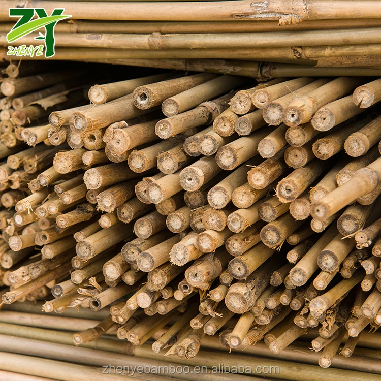 ZY-1005 Tonkin Bamboo Poles-5.jpg