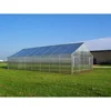 DongJu1200 Single-span Standard Wide Span Polycarbonate Greenhouse