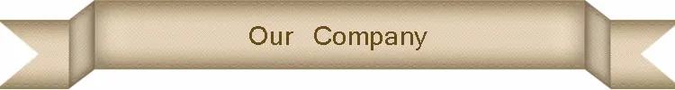 Our Company.jpg