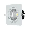 CRI 95Ra saa led downlight 200mm led adjustable surface mounted downlight ies files