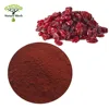 Fruit Juice Concentrate Cranberry Extract / bilberry fruit powder