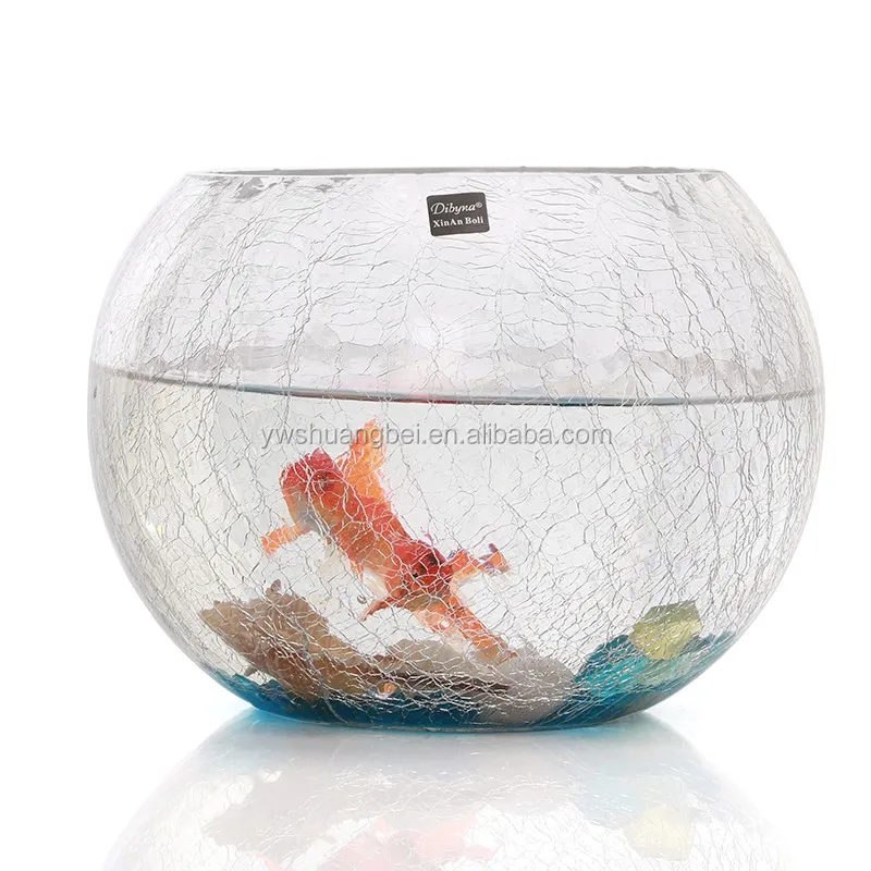 Five Type Circular Aquariums Glass Fish Bowl Round Tank Multifunctional