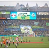 CE RoHs Approved P20 Outdoor LED Screen/video p20 1R1G1B outdoor stadium led display screen panel