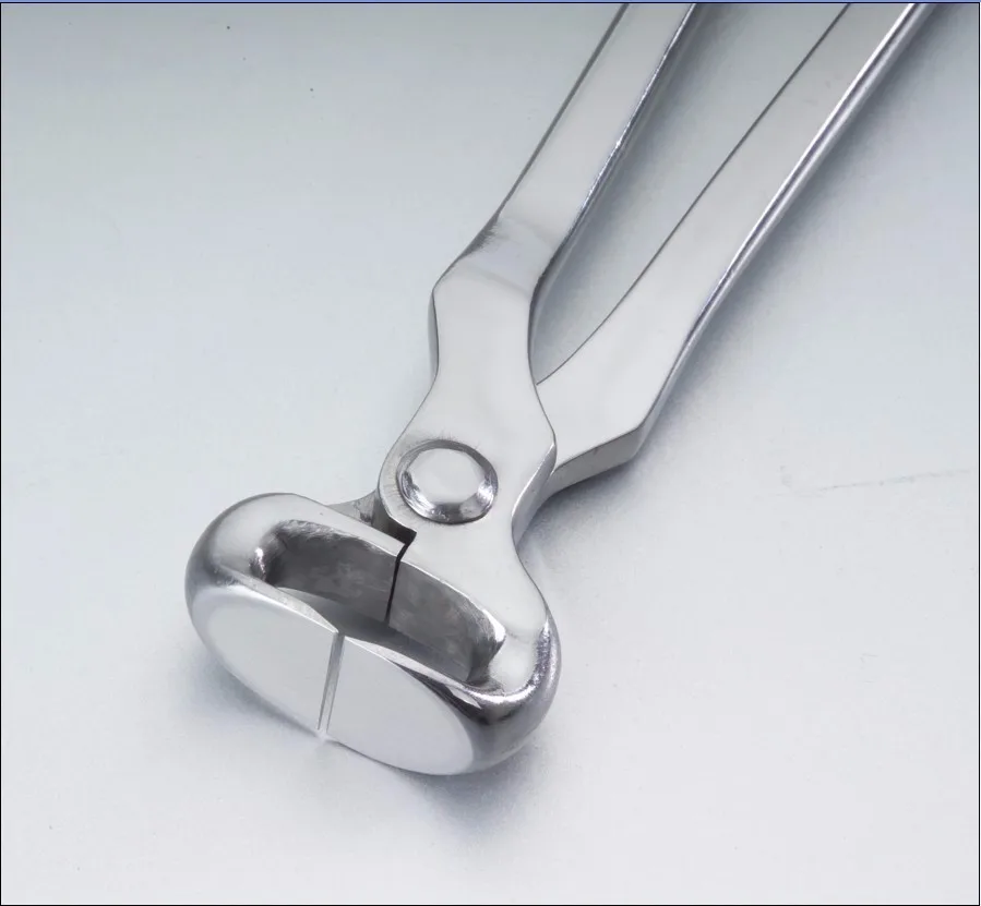 

horse brow bands Horse products Factory
