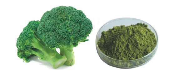 freeze dried broccoli powder/broccoli sprout powder