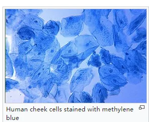 Cas 61 73 4 Methylene Blue For Biological Stain Buy Methylene Blue Blue For Biological Staining Product On Alibaba Com