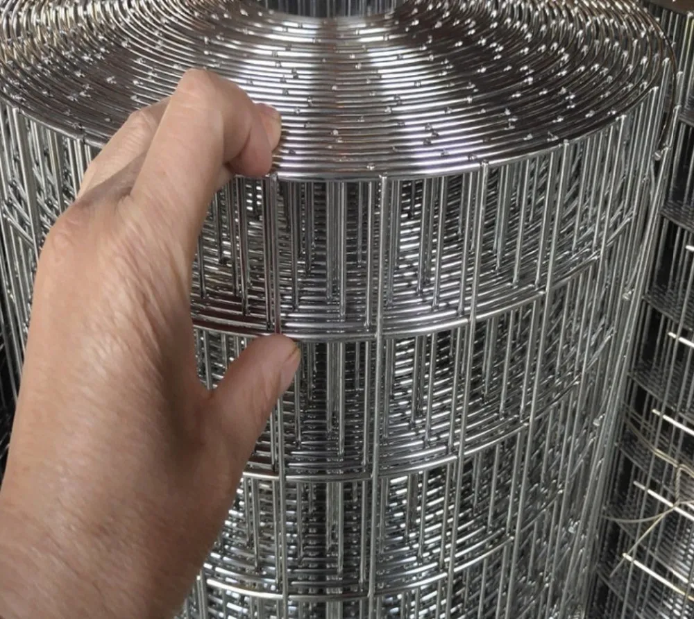 Cheap Price Galvanized Bird Cage Welded Wire Mesh Roll And Panel Buy Galvanized Welded Wire