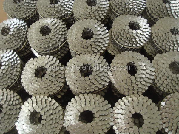 SS ROOFING COIL NAILS_