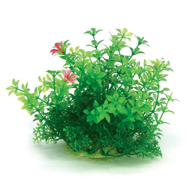 best aquarium ornaments