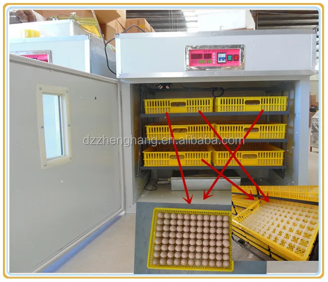 ZH-528 setter and hatcher.png