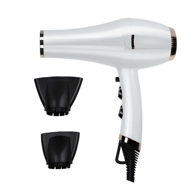 

Most Powerful 2300W AC Professional Hair Dryer With Pattern, White or customize