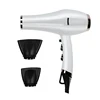 Most Powerful 2300W AC Professional Hair Dryer With Pattern