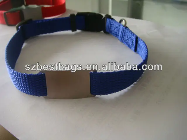 blue pet collar.JPG