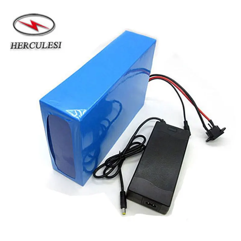 48v lithium battery for electric bike