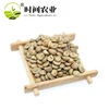 Wholesale unroasted coffee beans export for worldwide can OEM and the lower price for purchase