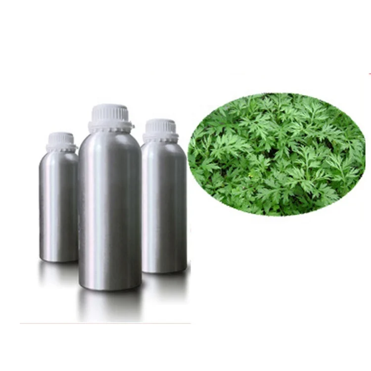 natural wormwood essential oil massage oil pure ar