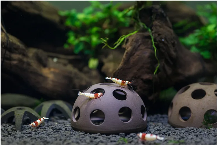 Fish Tank Cave Aquarium Shelter Ceramic Shrimp Spawn Live Hide Ornament Breeding