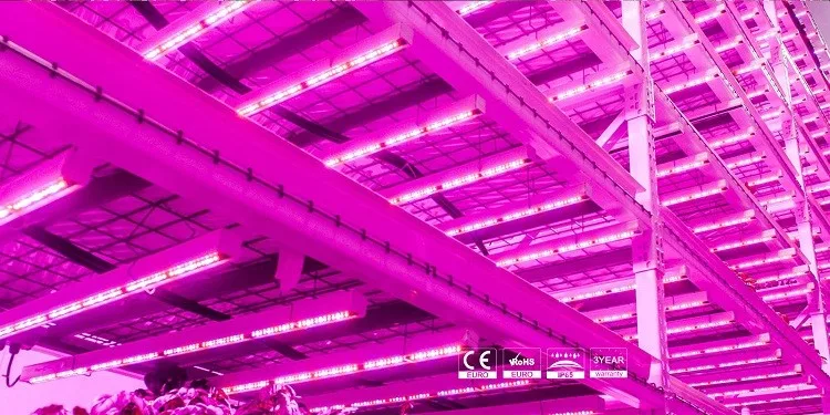 ul listed led grow light cob grow light strip propagation greenhouse with full spectrum
