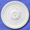 Center Panel Ceiling Roses Ceiling Medallion Ceiling Dome