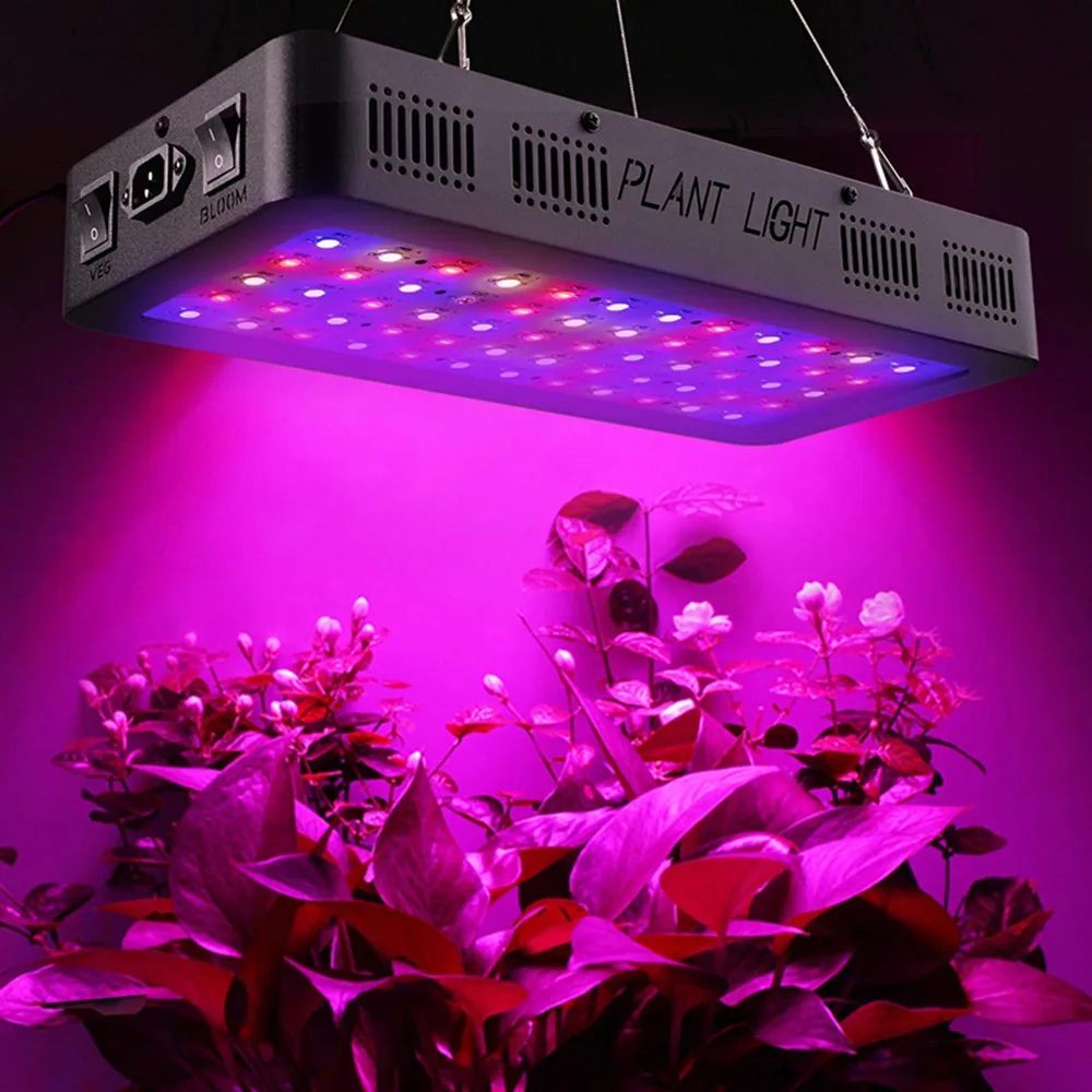 Greenhouse Indoor Garden Plant Light Veg and Bloom 600W 900W 1200W Full Spectrum LED Grow Light