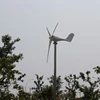 micro wind mill HAWT wind generator