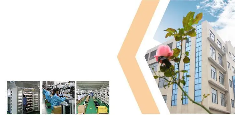 plants vs zombies hot selling school bag backpack