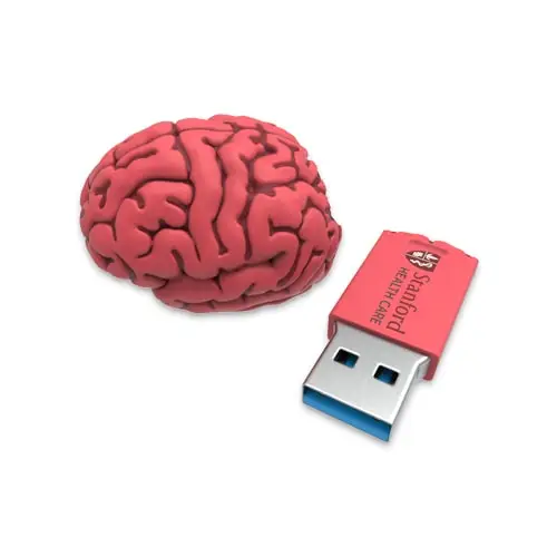 

Gitra Medical Rubber Silicone Pvc Custom 3d flash drive Brain Shape Pendrive 32Gb Usb 3.0 brain usb stick 16gb 64gb 128gb