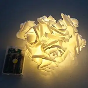 Flower String Lights Find Deals On Line Get Quotations Kbook Indoor Flower String Lights 20 Led Warm White Battery Operated