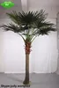 2014 Hot Artificial Washington palm trees/artificial outdoor date palm trees decorative indoor &outdoor