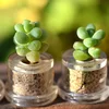 Funny Cute baby pet plant Phone accessories mini cactus keyring