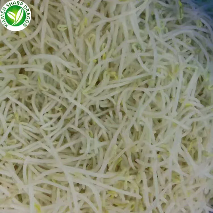 
IQF Greenhouse green frozen mung bean sprouts 