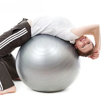 

Amyup Custom logo exercise pvc yoga balance gym ball