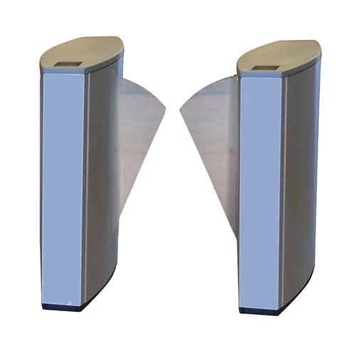 Glass Wing.jpg