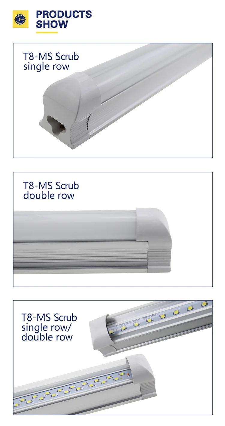 T8_03.jpg