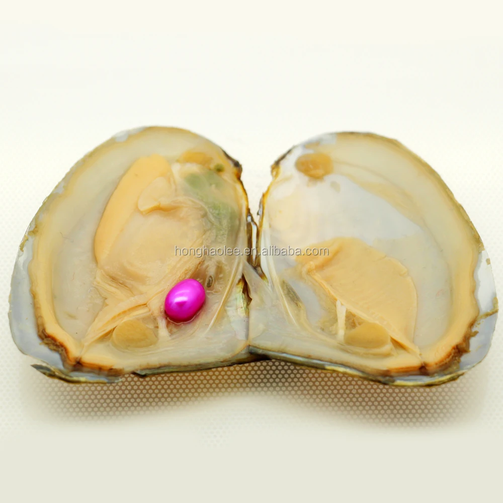 

Wholesale triangular oysters with fresh natural 6-8mm oval pearls, free shipping in vacuum packaging (optional pearls color)