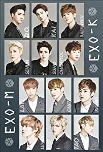 Buy Exo M Exo K Exo K Pop Music Group Necklace Constellation Birthday Xoxo Logo Retail And Wholesale South Korean Star Wolf Beauty In Cheap Price On Alibaba Com