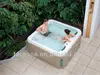 luxury 4 person outdoor spa tub FS-296 CE/ETL/SAA