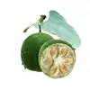 Natural sweetener luo han guo extract, bulk wholesale Luo han guo extract powder 10% mogroside (free sample)