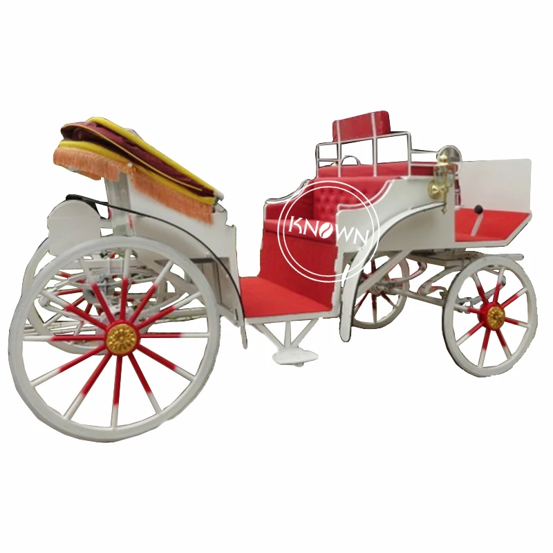 

European Horse Carriage for sale with folding canopy